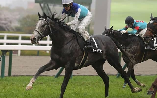 【目黒記念想定騎手】アドマイヤテラは武豊騎手、スティンガーグラスはC.ルメール騎手