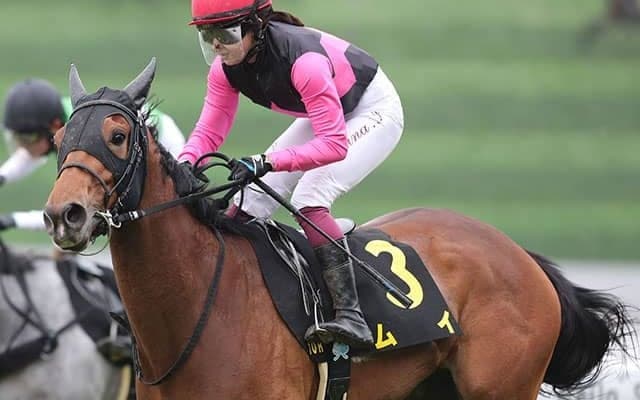 【葵S想定騎手】ムイは今村聖奈騎手、ウイントワイライトはA.シュタルケ騎手