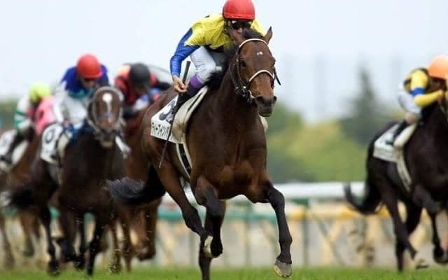 東西どちらかが上位独占？万博開催年×日本ダービーの共通項とは