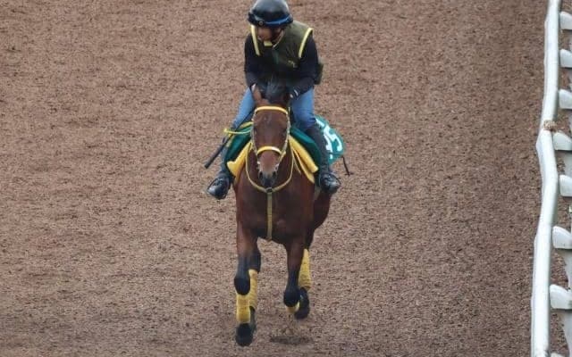 フィオラーノなど、先週のゲート試験/栗東トレセンニュース