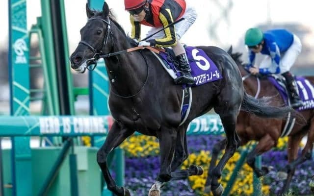 【日本ダービー予想オッズ】クロワデュノールが予想1番人気