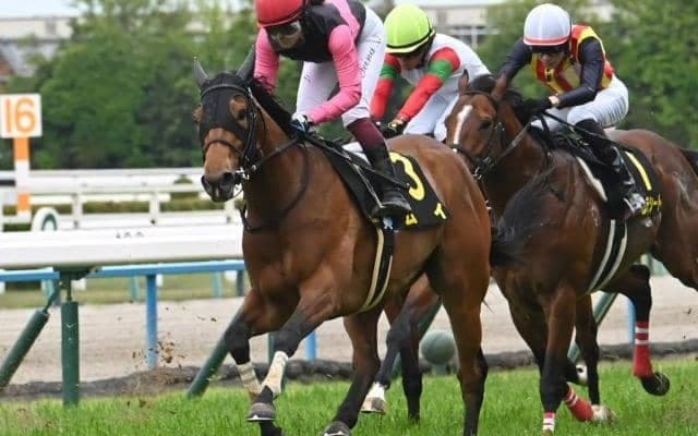 【葵S予想オッズ】ムイが予想1番人気