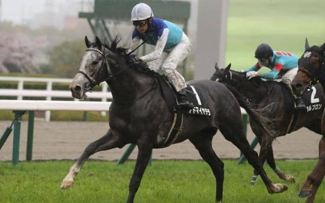 【目黒記念予想オッズ】アドマイヤテラが予想1番人気