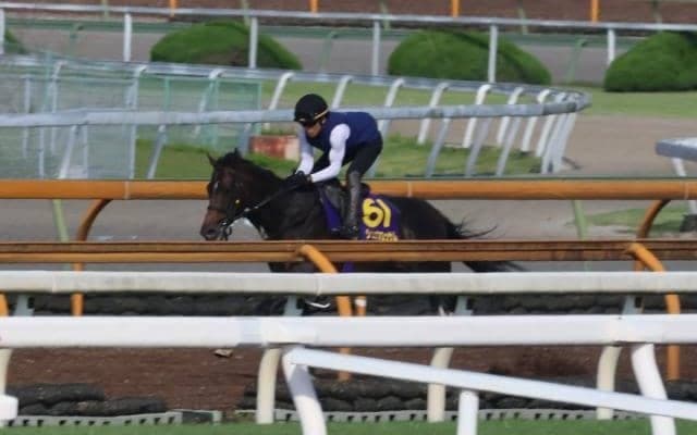 ジュンブロッサムなど、安田記念1週前追い切り速報/栗東トレセンニュース