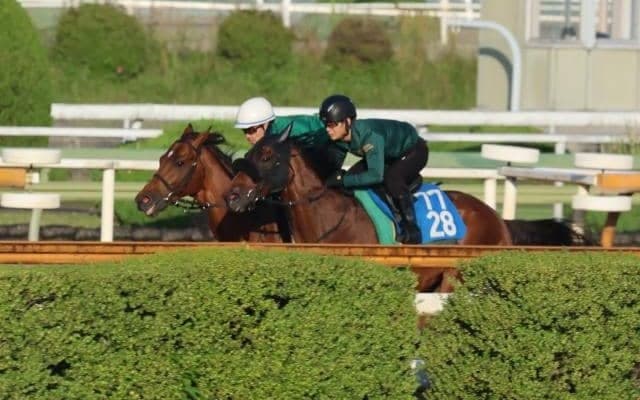 ベラジオオペラ、宝塚記念2週前追い切り速報/栗東トレセンニュース