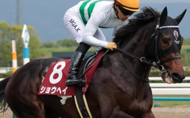 【日本ダービー】現役最多3勝の友道康夫調教師 ショウヘイで3年ぶり4勝目なるか