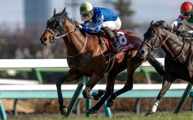 【日本ダービー】登録20頭の香港馬名と馬名意味を紹介 「自家專屬」「草地法師」はどの馬？