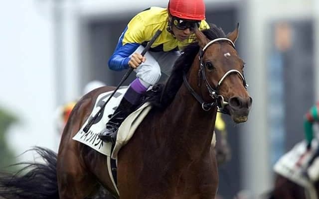 日本ダービー着差ランキングTOP5 ディープインパクトらを超える“6馬身差”の1位とは？