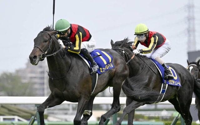 【競馬予想】日本ダービーの行方がわかる「３歳牡馬ランキング」 クロワデュノールは今度こそ勝てるのか
