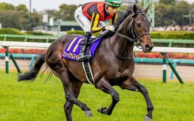 【日本ダービー枠順確定】ミュージアムマイルは4枠7番、クロワデュノールは7枠13番