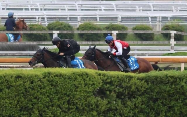 ヨーホーレイク、宝塚記念2週前追い切り速報/栗東トレセンニュース