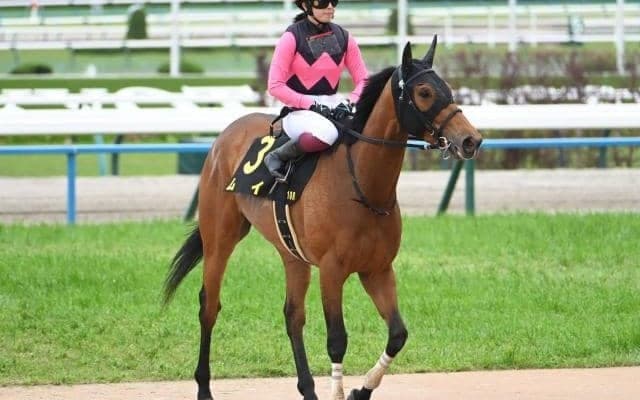 【葵S出走馬・騎手確定】ムイ＆今村聖奈騎手、ウイントワイライト＆A.シュタルケ騎手など16頭