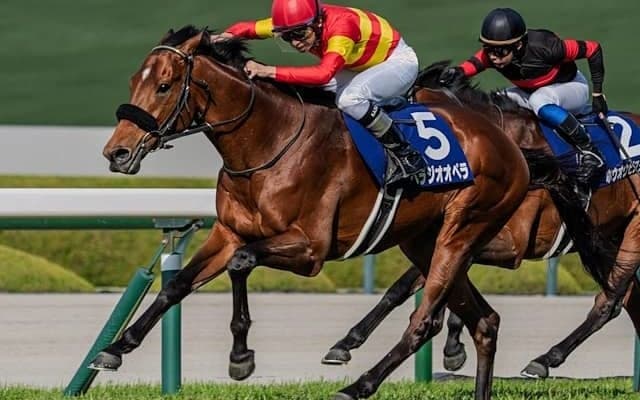 【宝塚記念】ファン投票最終発表 1位はベラジオオペラで22万8950票！