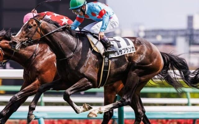 【葉山特別】半兄は名馬イクイノックス ガルサブランカが連勝なるか