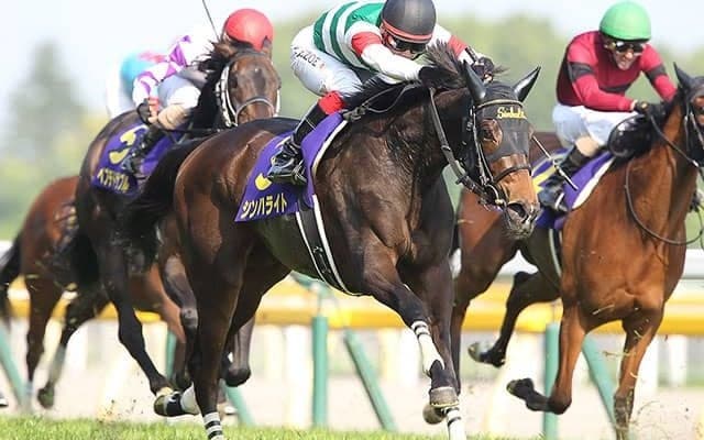 半姉は16年オークス馬のシンハライト エンベッカがデビュー勝ちなるか