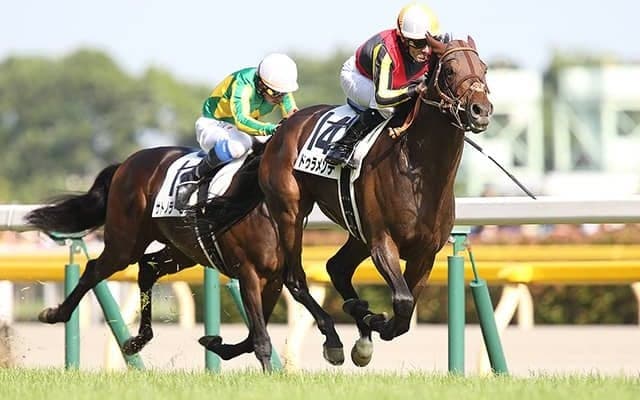 サンデーレーシングが5頭出し 日本ダービー衝撃のレコード勝利から10年