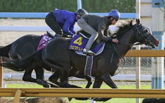 【競馬予想】日本ダービーでクロワデュノールは本当に「１強」なのか　示される最強の証明