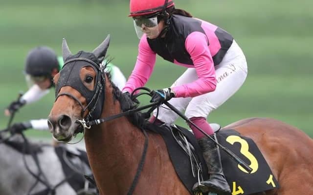 【葵S枠順確定】ムイは7枠13番、ウイントワイライトは1枠2番