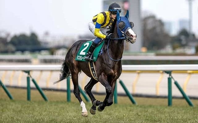芝・ダートの3歳チャンピオン決定戦 2つの“ダービー”を血統的側面から注目馬を探る
