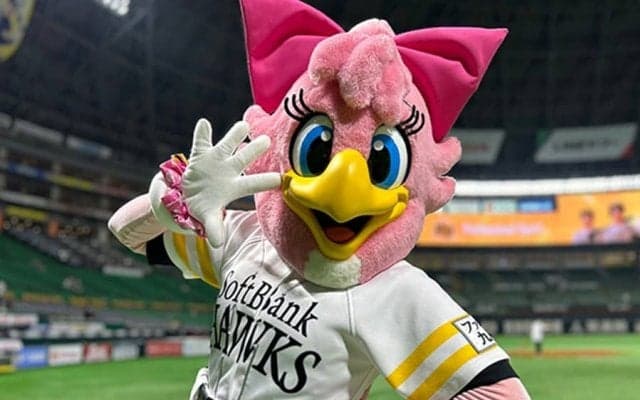 見てほしい「ピンクのポニーテール」　濡れるの恐れて「雨は少し苦手」…鷹のマスコット