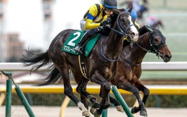 今年は「6月1日の日本ダービー」過去4回から見つけた傾向とは