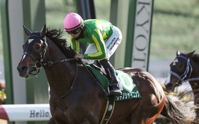 【競馬予想】ダービーは「１強」クロワデュノールが断然も、レジェンドを迎えた伏兵に一発の可能性