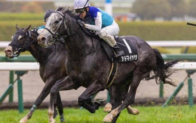 【目黒記念】菊花賞3着のアドマイヤテラ 武豊騎手で重賞初制覇狙う