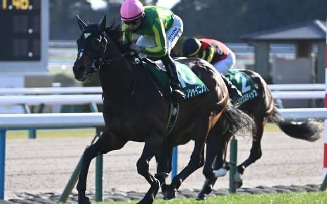 【AI予想・日本ダービー】大偉業達成へ人工知能も後押し！ 本命は捲土重来を誓う実力馬