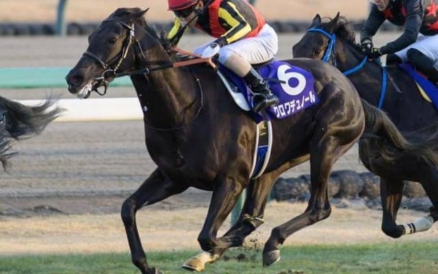 霜降り明星・粗品はクロワデュノールを信頼 3連単1着固定で勝負