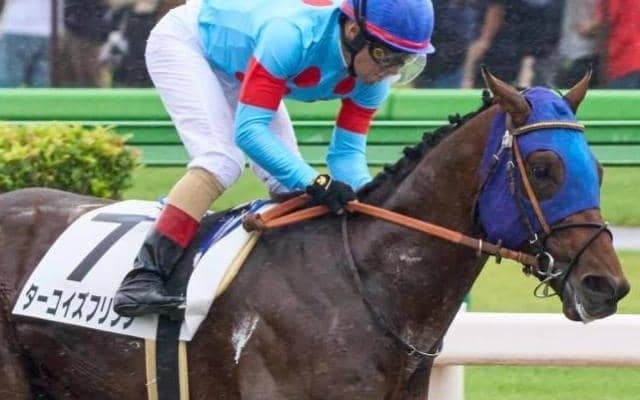 東京ダートは高速決着 ターコイズフリンジの押し切りだ