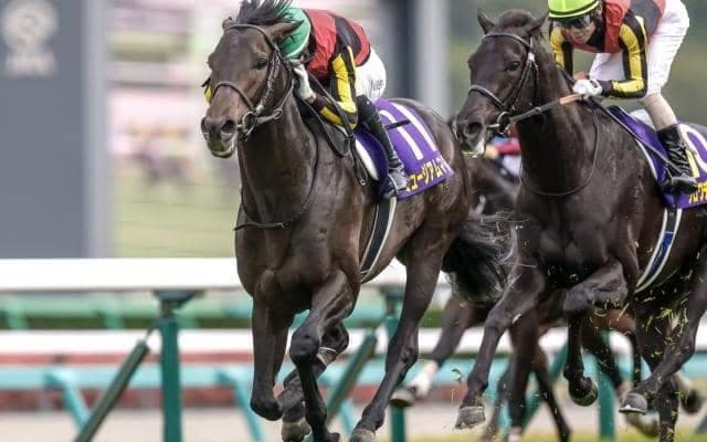 【今日の注目ポイント】競馬の祭典・日本ダービーと目黒記念