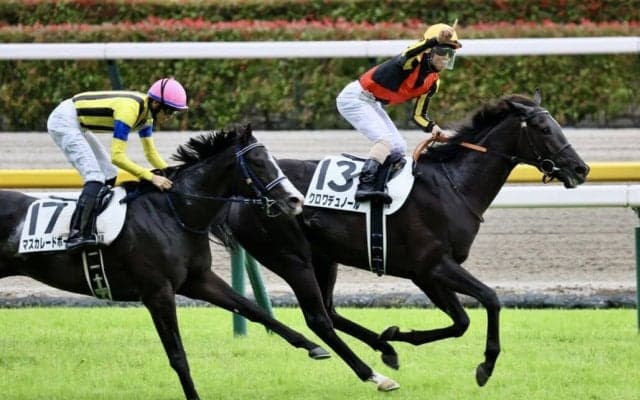 【日本ダービー】クロワデュノールが世代王者に…皐月賞の雪辱をダービーで晴らす