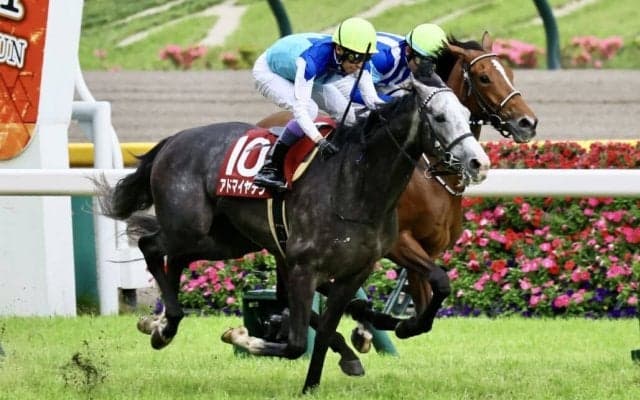 【目黒記念】武豊アドマイヤテラが重賞初制覇…白毛のハヤヤッコは競走中止