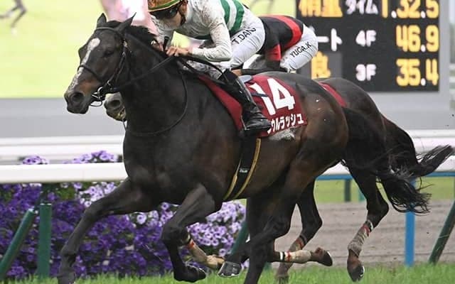 春の最強マイラー決定戦・安田記念 新馬戦もスタート/今週の競馬界の見どころ