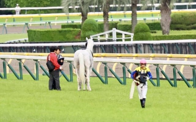 【目黒記念】人気の白毛馬ハヤヤッコが競走中止…右前浅屈腱不全断裂も命に別状なし