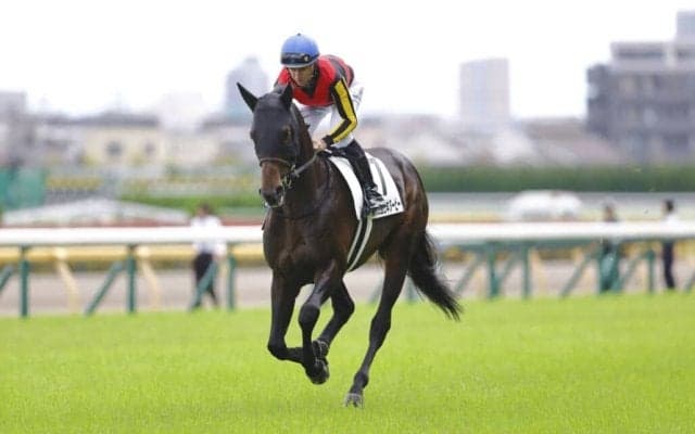 【日本ダービー】レーン「ポジションの差が出た」皐月賞馬ミュージアムマイルは6着に沈む…レース後ジョッキーコメント