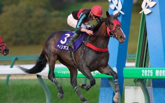 【盛岡・あすなろ賞】古豪健在！9歳ヘリオスが鮮やかな復活劇