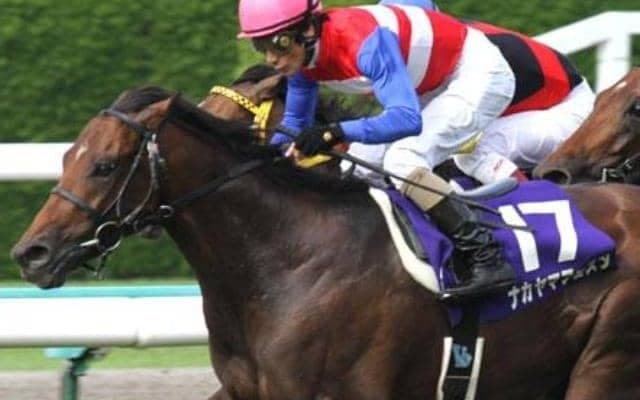 凱旋門賞につながる8番人気での激走 前走OPから制したナカヤマフェスタの宝塚記念から15年