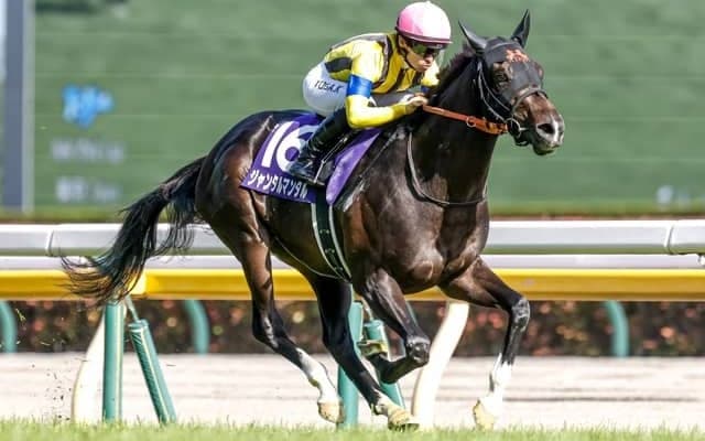 【安田記念見どころ】前走の鬱憤を晴らすジャンタルマンタル