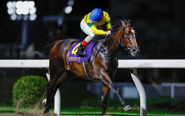 【船橋・若潮スプリント枠順】無傷4連勝中＆8カ月ぶりのベアバッキューンは8枠11番