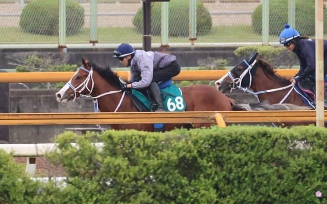 母はオープン含めJRA・7勝 シーミハットクが日曜東京で初陣/関西馬メイクデビュー情報