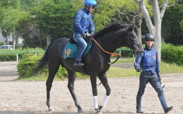 祖母は独オークス馬 ゾロアストロが東の一番星を狙う/関東馬メイクデビュー情報