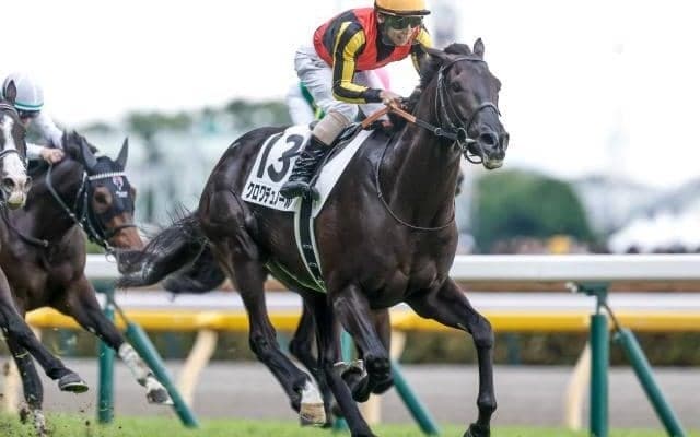 血統表でよく見る名馬「ドミニオン」 クロワデュノールにも受け継がれる名血を深掘り