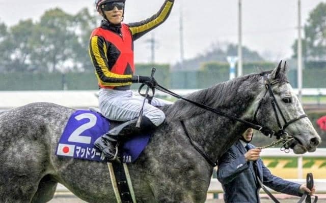 史上4頭目なるか 高松宮記念から安田記念を勝った馬