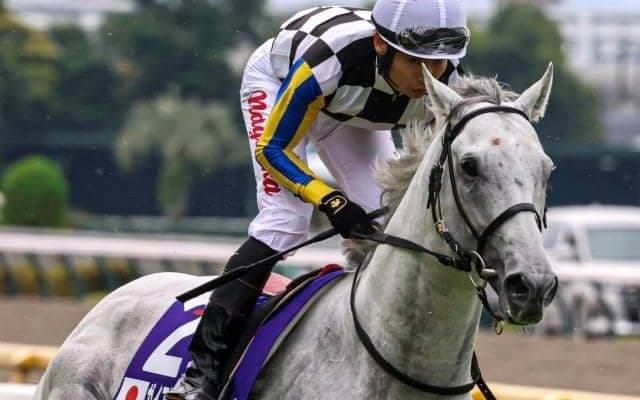 【安田記念】吉村誠之助騎手がGI初制覇なるか ガイアフォースと初タッグで参戦