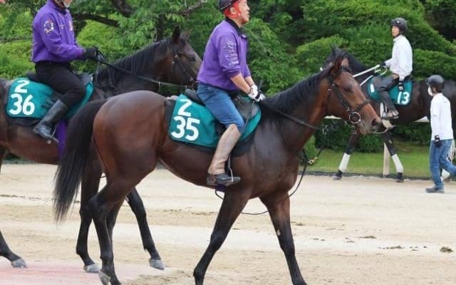 ジョーカーなど、先週の入厩情報/栗東トレセンニュース