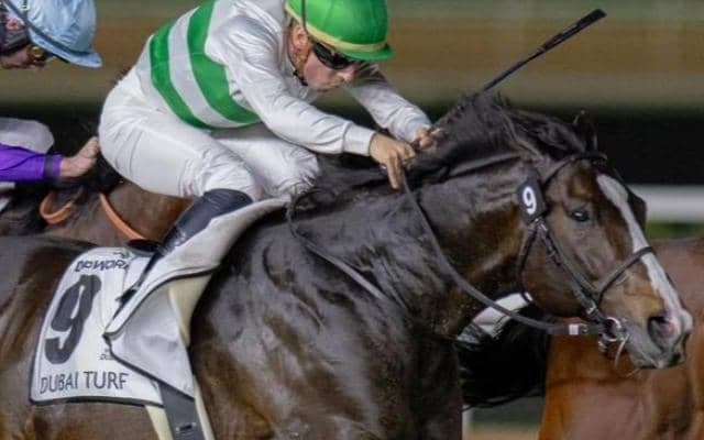 【安田記念】7歳馬Vなら19年ぶり4頭目の快挙 ソウルラッシュらが参戦