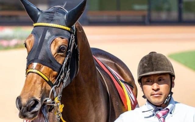 【安田記念】トルコの父に9年ぶりのGIタイトルを届けるか 重賞連勝中のロングランが参戦