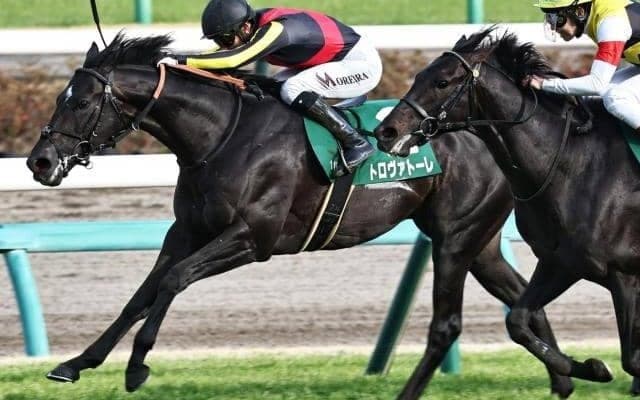 【安田記念】レイデオロ産駒がGI初制覇なるか ダービー卿CT覇者のトロヴァトーレが参戦