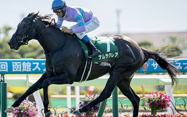 【函館スプリントS想定】ナムラクレアやミリアッドラヴなど20頭